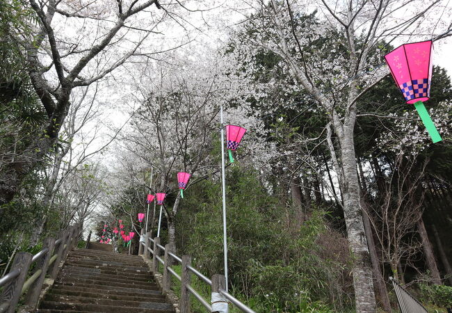 長谷寺(飯山観音)