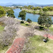 しらさぎ橋の眼下に天降川ふるさとの川河川公園が広がる