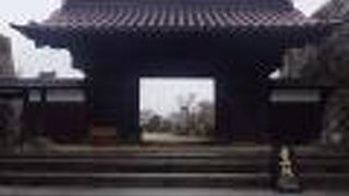 富山城で唯一現存する千歳御殿の創建当初の建造物