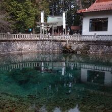 池の奥には神社もあります。