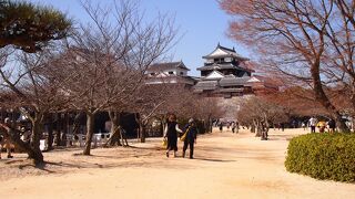 ボランティアガイドさんの案内で楽しめました