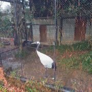 無料だけど色んな動物を見られました