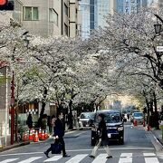 桜のある風景