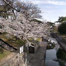 夙川公園