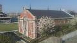 桜とのコラボで撮るのもオススメ！