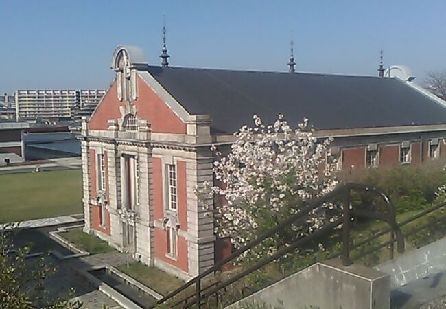 桜とのコラボで撮るのもオススメ！