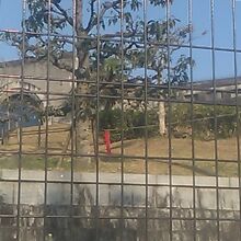 敷地内にある5号配水池の様子