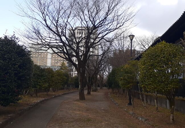 仙台駅から徒歩圏内で杜の都・仙台の雰囲気を楽しめます