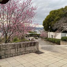 景色の他に桜もきれいでした。