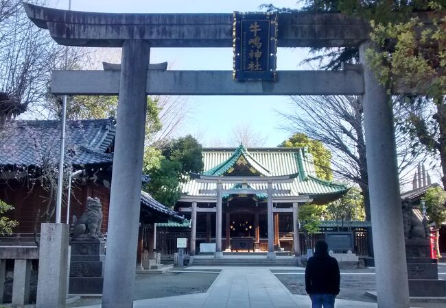この神社から東京スカイツリーを見られて、凄い絶景