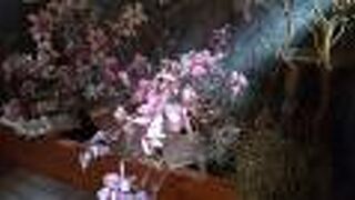 旧伊藤博文金沢別邸