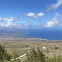 コハラ マウンテン ロード