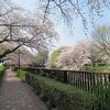 今年も桜の季節に訪れました