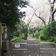 かつての石神井川の流れを利用して造られています