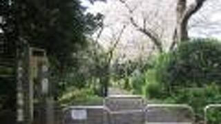 かつての石神井川の流れを利用して造られています