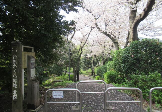 かつての石神井川の流れを利用して造られています