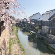 桜の時期