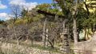 小倉の祇園さん