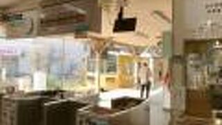 近江鉄道 八日市線 (万葉あかね線)