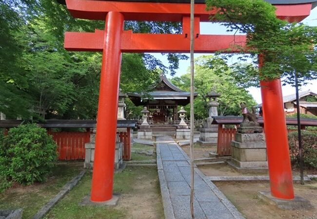 吉田神社の末社で宗忠神社の先に