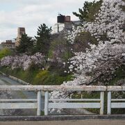 鴨川の桜並木がよく眺められる