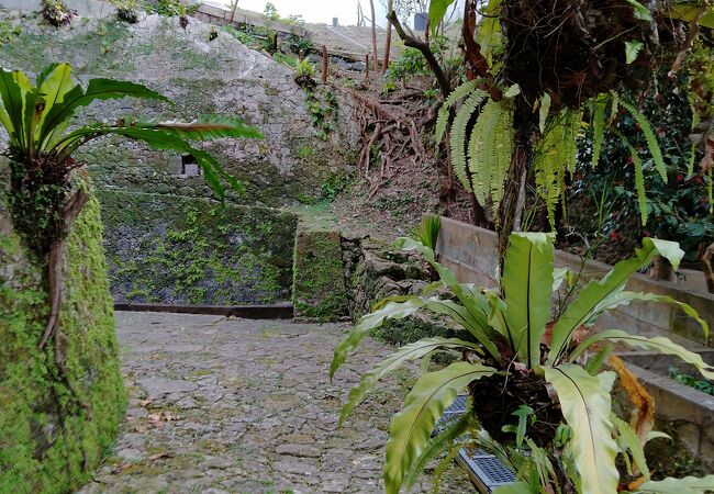 首里城の御用水にもなっていた井戸