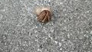 ドライブでひとまわり