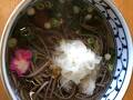 茶房 珍重庵 那智山店