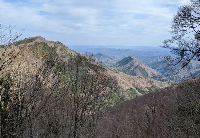見事なブナ林の中を歩く