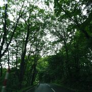 片側1車線の道路が続いて路肩に寄せる場所もないから景色がきれいな場所を見つけても停めれない：田沢湖