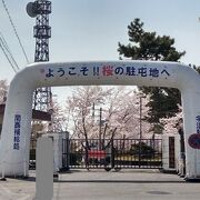 レンガと桜の駐屯地へ行こう！