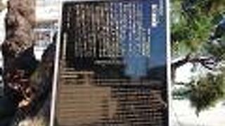 東京を代表する貝塚の一つ