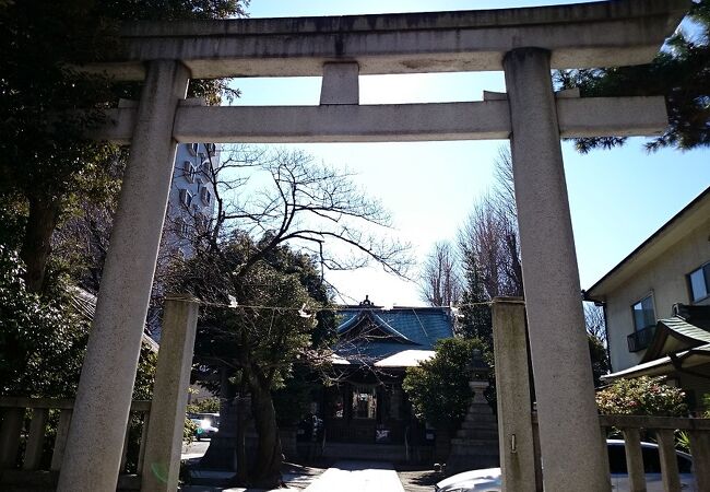 環七通り沿いに鎮座している神社