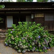 障子が開けてあるので庭から建物内部を鑑賞：岩橋家