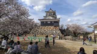 大河ドラマの影響で混み合ってます