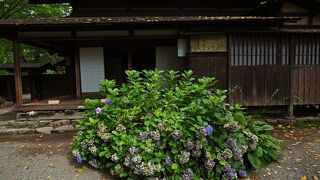 障子が開けてあるので庭から建物内部を鑑賞：岩橋家