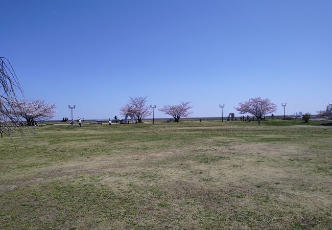 九華公園より花見しやすい？