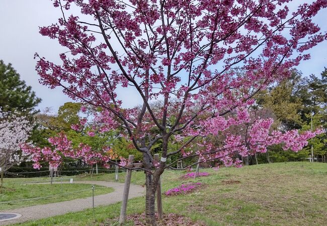 緑ケ丘公園