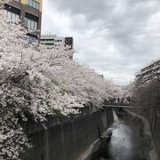 中目黒～五反田ルート