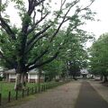 三里塚記念公園