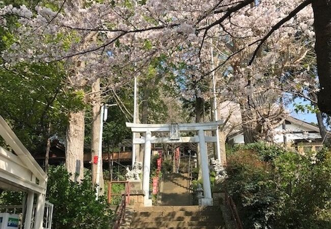 弥生神社