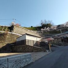 階段の北側にある丘に登る車道。道路は狭い。