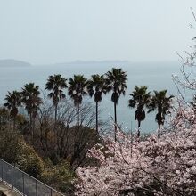 汐音の跡地の広場から見た瀬戸の海。右に音戸大橋。