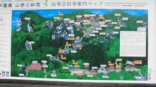 上まで登ってきた