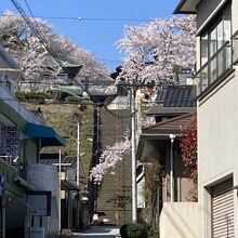 愛染寺 