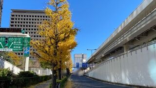 富士山は見えそうにない