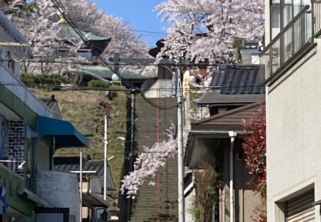 愛染寺 