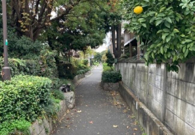 桃園川の跡地