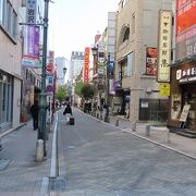 おしゃれな散歩道？