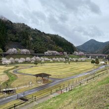 ダム湖周辺はとても良い環境です。